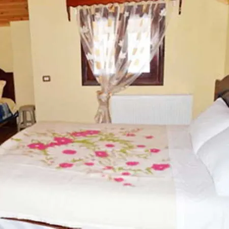 Pashuta Hotel 4*