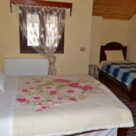 Hotel Pashuta