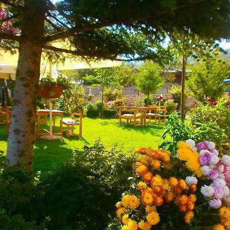 Pashuta Hotel